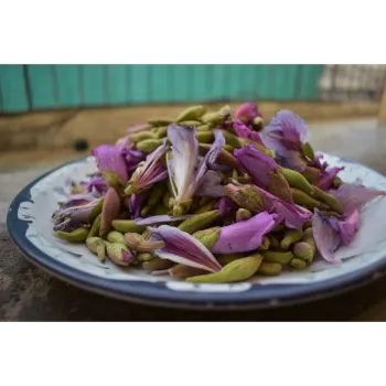 Pink Dry Rose Leaves